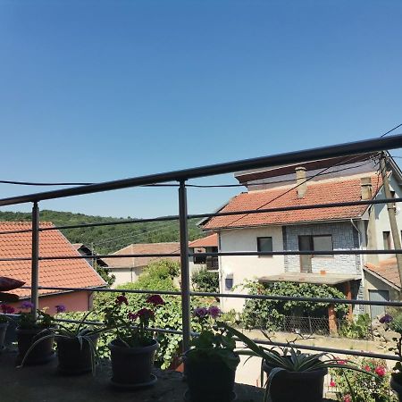 Smestaj Urosevic Golubăţ Exterior foto