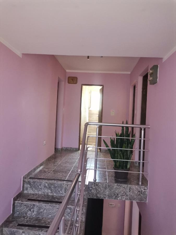 Smestaj Urosevic Golubăţ Exterior foto