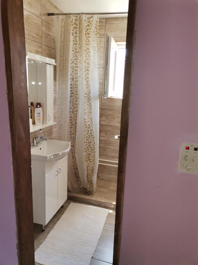 Smestaj Urosevic Golubăţ Exterior foto